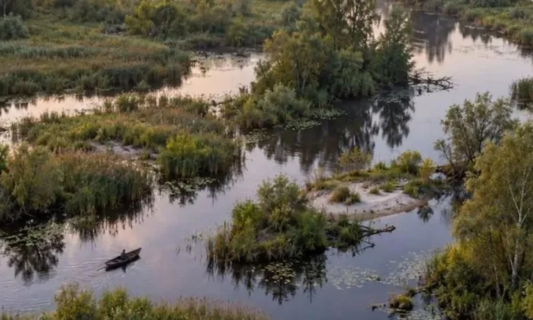 Волинська Амазонія: унікальний куточок природи України