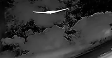 ЗСУ знищили два російські дрони «Альбатрос-М5» під Запоріжжям